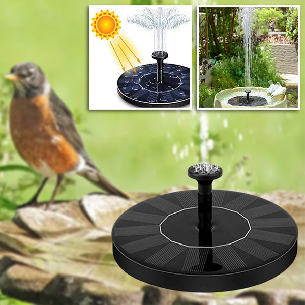 Solar-Powered Water Fountain