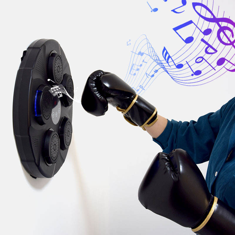 Home Interactive Music Boxing Target – LED Punching Trainer