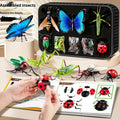 Insect Slot-Assembly Toys – 4D DIY Bug Puzzle Set for Kids’ Early Education & Animal Learning